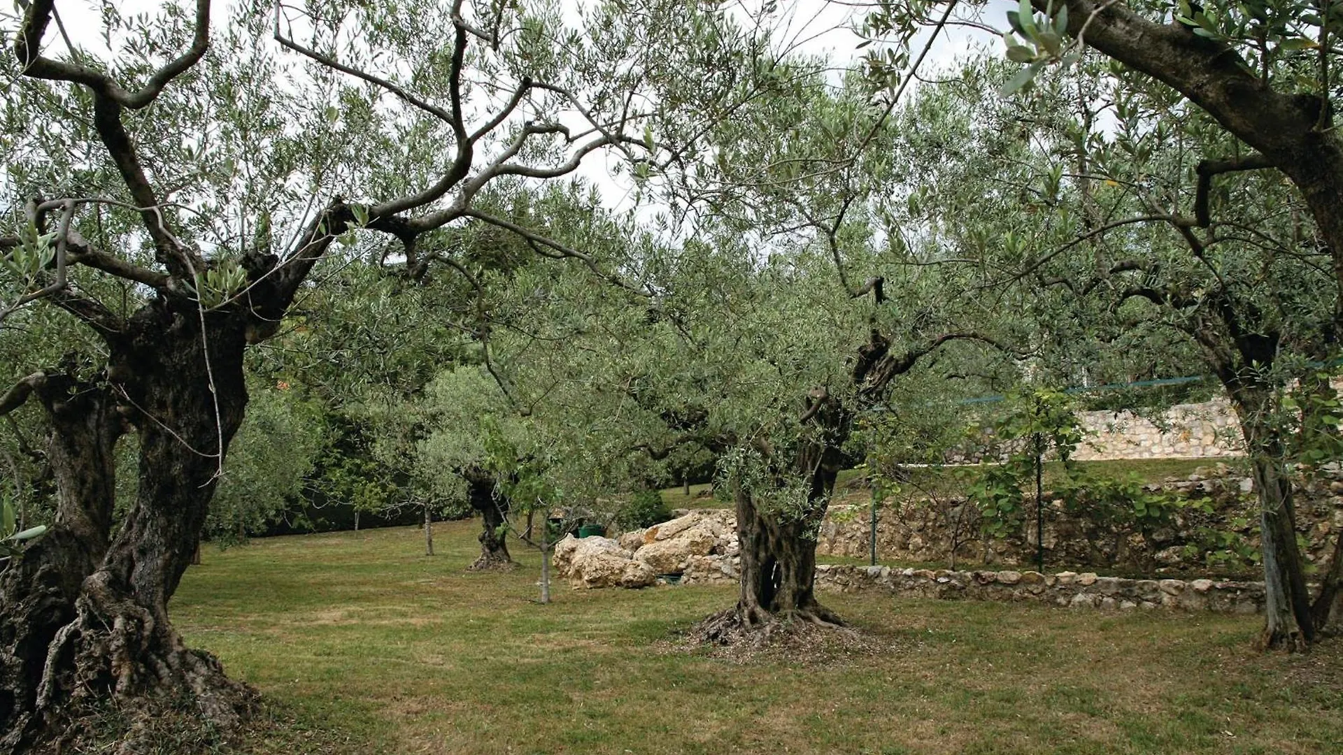 Cozy Home In Fayence With Outdoor Swimming Pool location